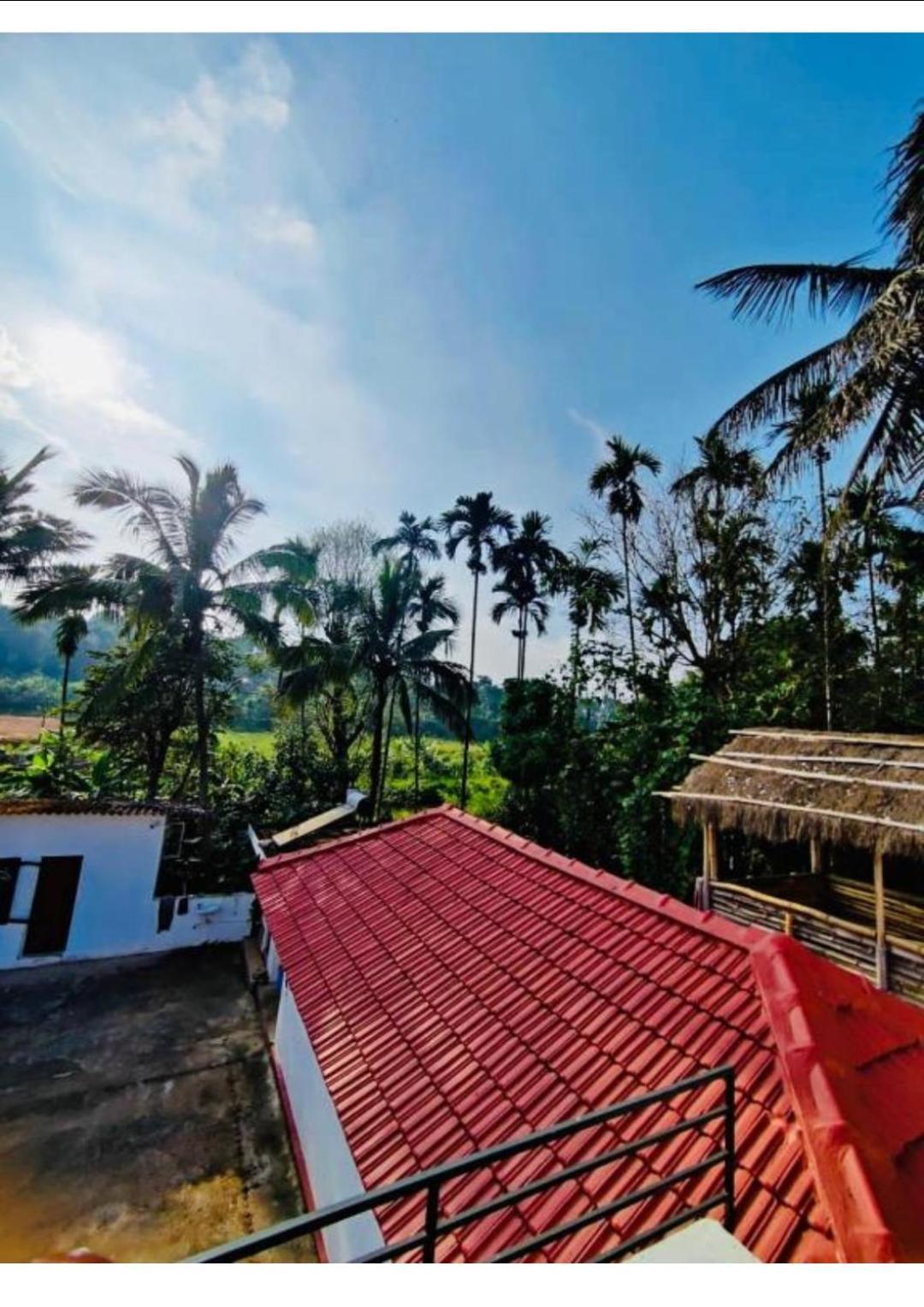 Streaming Valley Independent Coffee Estate Stay Madikeri Exterior foto